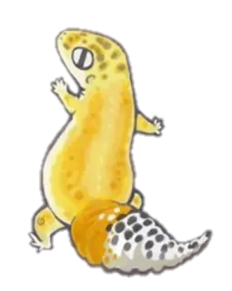 😨 0d7215fb gecko, luipaardgekko, dier, hagedis, reptiel telegram sticker