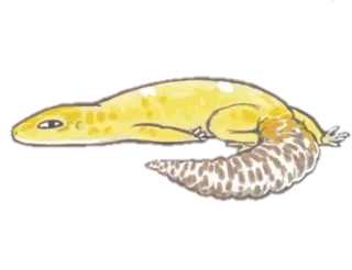 😑 daed8d47 Gecko, Luipaardgekko, Hagedis, Dier, Reptiel telegram sticker