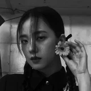 ⚓️ 147f6c8d портрет, женщина, цветок, девушка, черно-белое, человек telegram sticker
