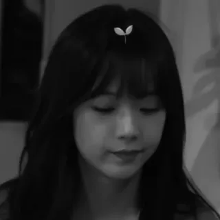 ⚓️ 54300e0f женщина, портрет, черно-белое, в помещении, волосы, лицо telegram sticker