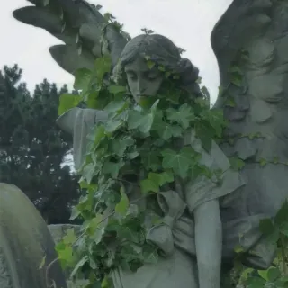 Pain @hanihalz telegram stickers