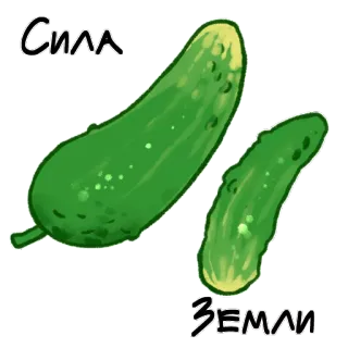 💪 cc86dc5c Сила
Земли 黄瓜, 蔬菜, 绿色, 食物, 健康, 俄罗斯 telegram sticker