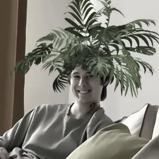 » 🌿 windy31 ! - @smstickerr whatsapp stickers