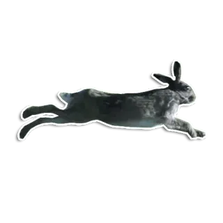 Большой Куш (Гоблин) telegram stickers