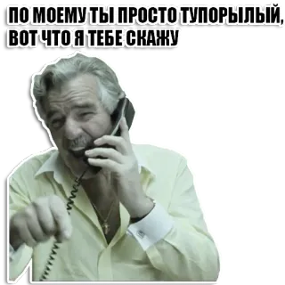 ☝️ c59bf48b ПО МОЕМУ ТЫ ПРОСТО ТУПОРЫЛЫЙ, ВОТ ЧТО Я ТЕБЕ СКАЖУ ผู้ชาย, พูด, โทรศัพท์, มีม, รัสเซีย, หงุดหงิด telegram sticker