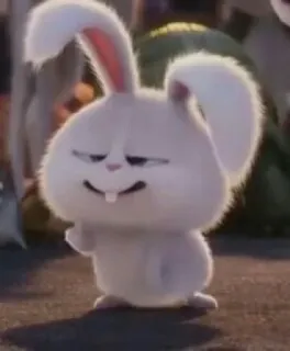 🍼 ba75eff7 Snowball The Secret Life of Pets kelinci, binatang, imut, bunny, animasi, putih telegram sticker