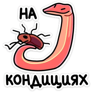 Змеюки от @stickers_vk telegram stickers