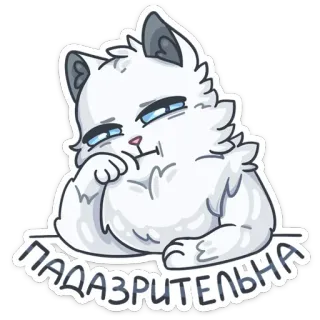 😐 7a62d709 ПАДАЗРИТЕЛЬНА kucing, curiga, kucing putih, hewan, kartun, sombong telegram sticker