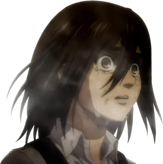 😭 1eee5a14 Mikasa Ackerman Attack on Titan anime, piangere, triste, angosciato, Mikasa, L'attacco dei giganti telegram sticker
