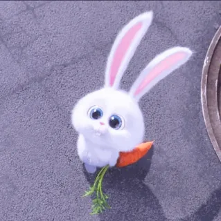 ☁️ edb989f7 Snowball The Secret Life of Pets заяц, кролик, милый, животное, морковь, питомец, анимированный telegram sticker