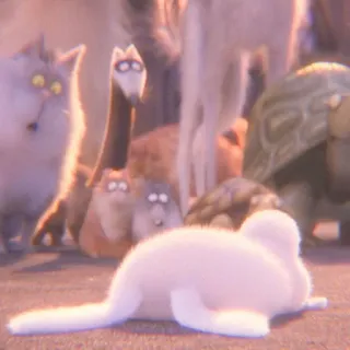 🐰 91563e09 animali, gatto, cane, tartaruga, topo, animali domestici telegram sticker