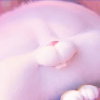 🐰 cf1099c8 gatto, zampa, animale, animale domestico, carino, dormire, domestico, felino telegram sticker