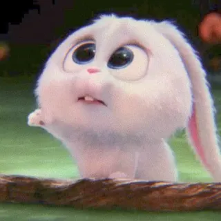 🐰 dc673c5d Snowball The Secret Life of Pets coniglio, coniglietto, carino, animale domestico, animale, cartone animato, animato telegram sticker