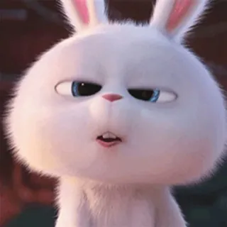 🐰 7e48fbe8 Snowball The Secret Life of Pets Kaninchen, Hase, Tier, Haustier, süß, Cartoon, Snowball, Pets telegram sticker