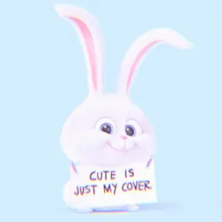 🐰 000fe0e4 CUTE IS JUST MY COVER. 토끼, 귀여운, 동물, 바니 telegram sticker