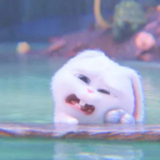 🐰 31efd34f Snowball The Secret Life of Pets 토끼, 귀여운, 만화, 동물, 애완 동물, 웃긴 telegram sticker