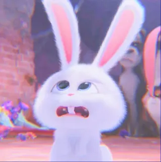 snowball ┊@petricchour ۪̽꯴᩠ 🐰⸼۪ࣴ ⌒* whatsapp stickers