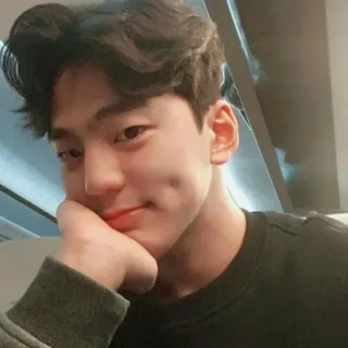 SNOWDROP telegram stickers