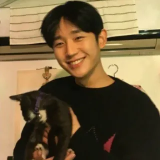 😀 536c9d42 고양이, 사람, 실내, 웃는, 애완동물, 동물, 인물 사진 telegram sticker