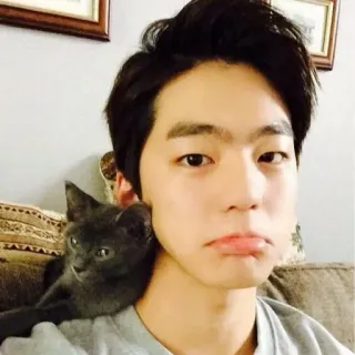 😀 b5bee915 사람, 고양이, 셀카, 애완동물, 반려동물, 인물 사진 telegram sticker