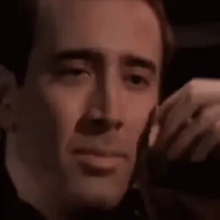 😂 dc21c487 Nicolas Cage nicolas cage, meme, aktor, selebriti, potret whatsapp sticker