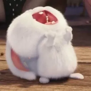 🌟 5905fcfb królik, słodki, zwierzę, śmieszny, zwierzątko, pupil whatsapp sticker