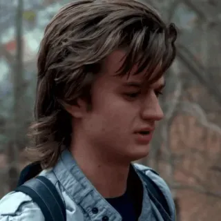 ♠️ 376a9018 Steve Harrington Stranger Things Стив Харрингтон, Очень странные дела, Персонаж, Сериал, 80-е whatsapp sticker
