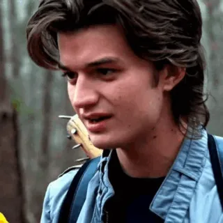 ♠️ 6bb31f25 Steve Harrington Stranger Things очень странные дела, стив харрингтон, джо кири, сериал whatsapp sticker