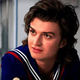 ♠️ d2a3b0c7 Steve Harrington Stranger Things очень странные дела, стив харрингтон, 80-е, персонаж, сериал whatsapp sticker