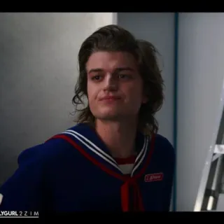 ♠️ f9cba9c6 Steve Harrington Stranger Things стив харрингтон, очень странные дела, сериал, персонаж whatsapp sticker