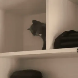 @sanglss :: @fStikBot telegram stickers