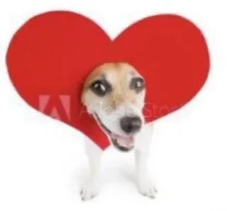 🌟 66eba19c dog, heart, animal, cute, love, pet whatsapp sticker