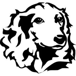 🧐 940f5db3 chien, animal, autocollant, noir et blanc, animal de compagnie whatsapp sticker