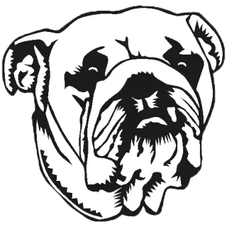 😒 c24075a6 chien, bouledogue, animal, animal de compagnie, autocollant whatsapp sticker