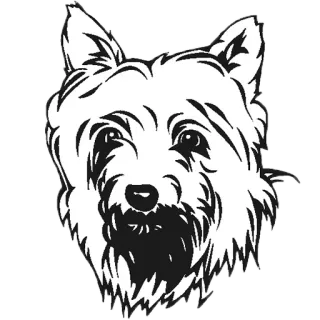 Dog @stickersb2b telegram stickers