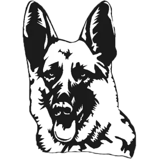 🥳 fb353f0d chien, animal, animal de compagnie, berger allemand, autocollant whatsapp sticker