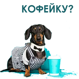 Mutt @stickersb2b whatsapp stickers