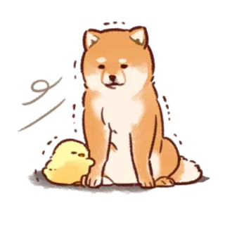 😥 1d23fe46 shiba inu, dog, chick, animal, cute, pet telegram sticker