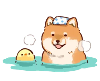 ♨️ 3280d449 dog, duck, bathing, bath, cute, shiba inu telegram sticker