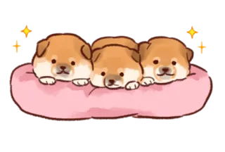 Soft and cute shiba inu @softandqt telegram stickers