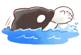 Soft and cute seal @softandqt whatsapp stickers