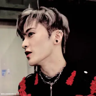 🍉 9e6b9786 K-POP, アイドル, 歌手, 音楽, 男性, 人 telegram sticker