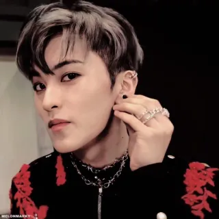 🍉 c113b91e telegram sticker