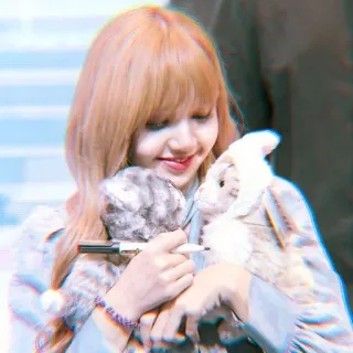 🐨 de71576b wanita, boneka, pena, tanda tangan, acara, fan meeting, Lisa telegram sticker