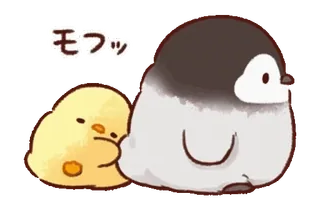 Soft and Cute Chicks Animation 3 @softandqt whatsapp stickers