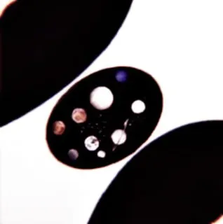 🦋 693830e1 telegram sticker