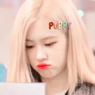 🐰 c48d856e Puppy 子犬, 犬, かわいい, 動物 telegram sticker