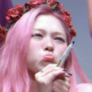 🌹 998160b0 phụ nữ, tóc hồng, vòng hoa, bút lông, phấn má, xinh đẹp, selfie telegram sticker