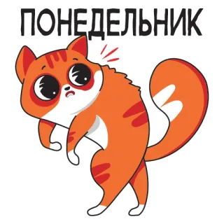😱 19317eca ПОНЕДЕЛЬНИК gatto, lunedì, arancione, triste, stressato telegram sticker
