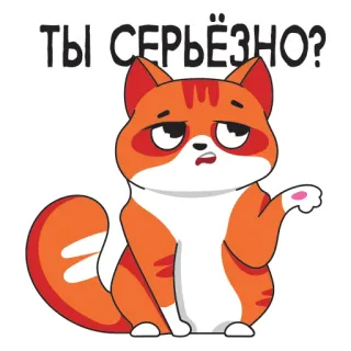 😒 1e2f39b8 ТЫ СЕРЬЁЗНО? gatto, infastidito, domanda, russo, arancione telegram sticker